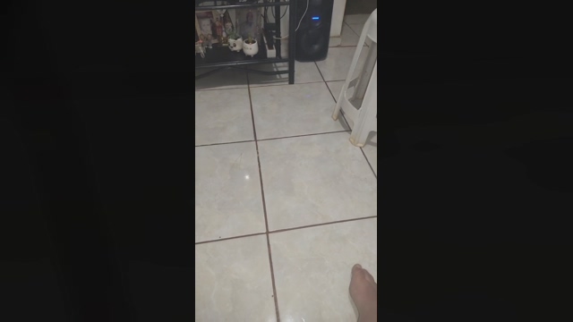 Michelenovinha  04-02-2022